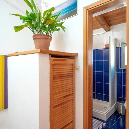 The Swallow's Nest - Zf Hvar 公寓 *