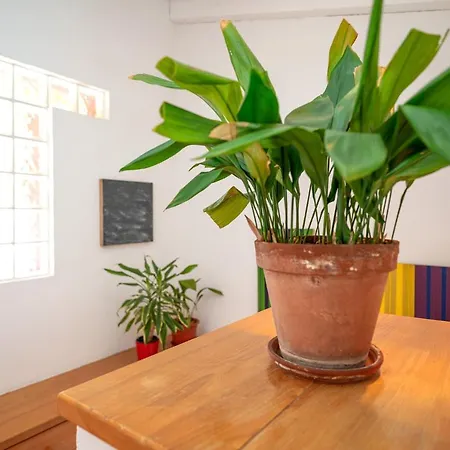 Διαμέρισμα The Swallow's Nest - Zf Hvar *