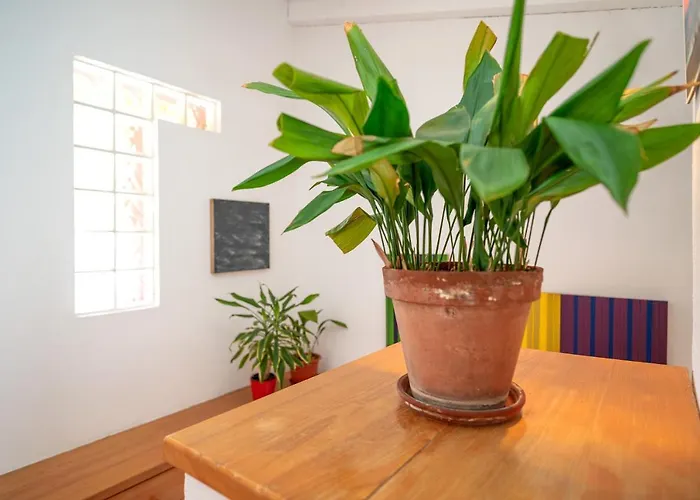 Lägenhet The Swallow's Nest - Zf Hvar *